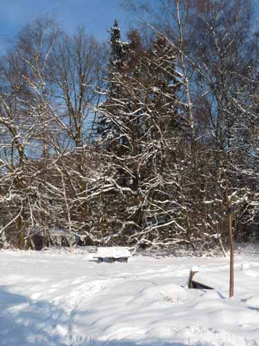 Ludolfshausen-und-Umgebung-160