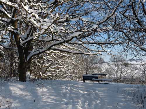 Ludolfshausen-und-Umgebung-161