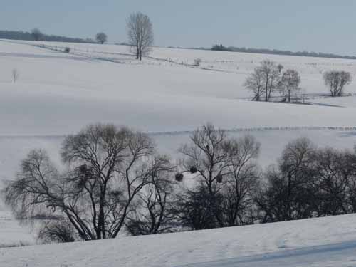 Ludolfshausen-und-Umgebung-171