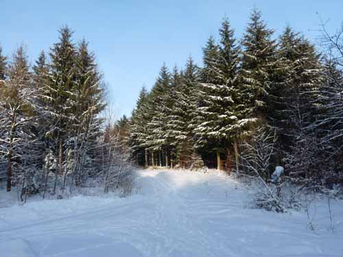 Ludolfshausen-und-Umgebung-180