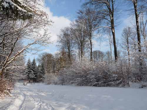 Ludolfshausen-und-Umgebung-181