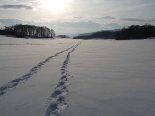 Ludolfshausen-und-Umgebung-182