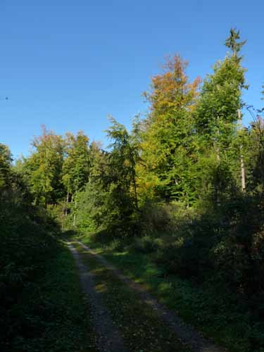 Ludolfshausen-und-Umgebung-201