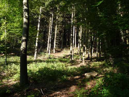 Ludolfshausen-und-Umgebung-202