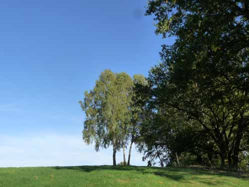 Ludolfshausen-und-Umgebung-206