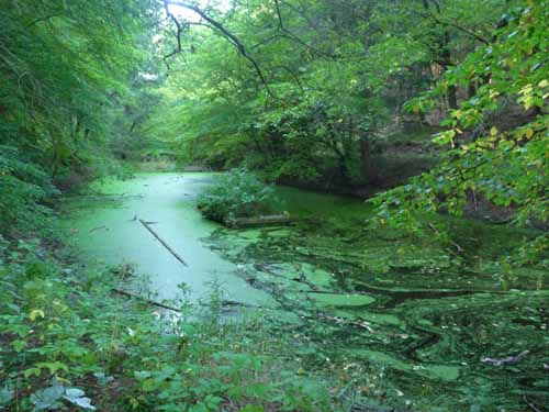 Ludolfshausen-und-Umgebung-208