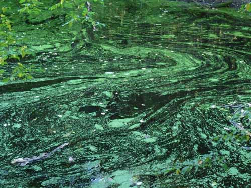 Ludolfshausen-und-Umgebung-209