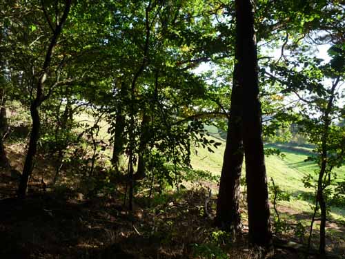 Ludolfshausen-und-Umgebung-210