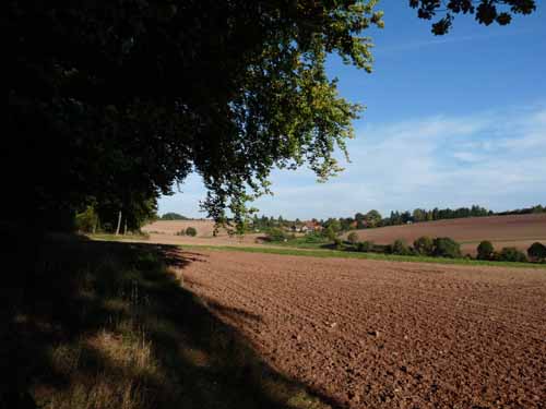 Ludolfshausen-und-Umgebung-211