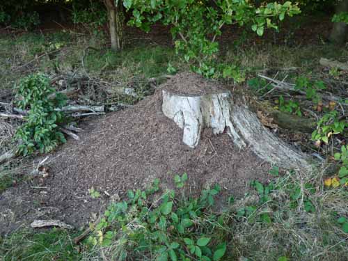 Ludolfshausen-und-Umgebung-213