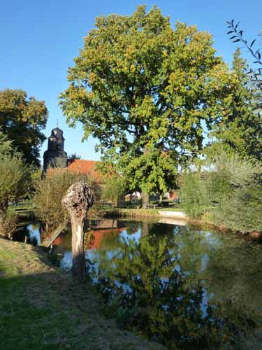 Ludolfshausen-und-Umgebung-217