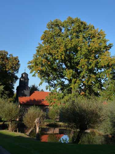 Ludolfshausen-und-Umgebung-220
