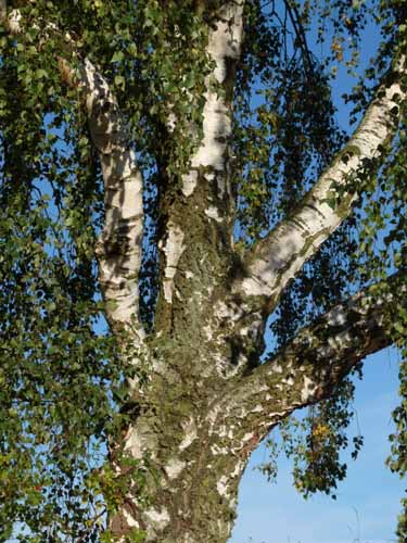 Ludolfshausen-und-Umgebung-223