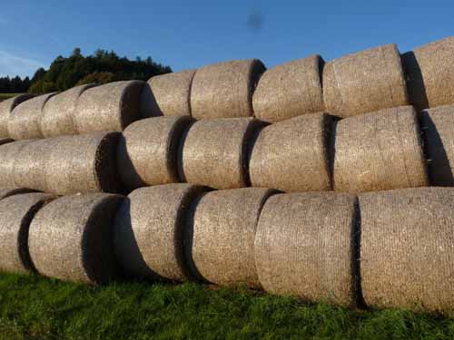 Ludolfshausen-und-Umgebung-225