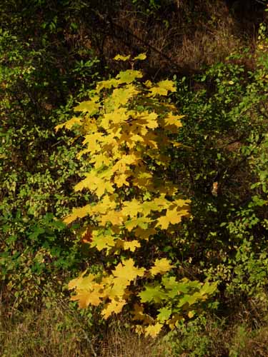 Ludolfshausen-und-Umgebung-226