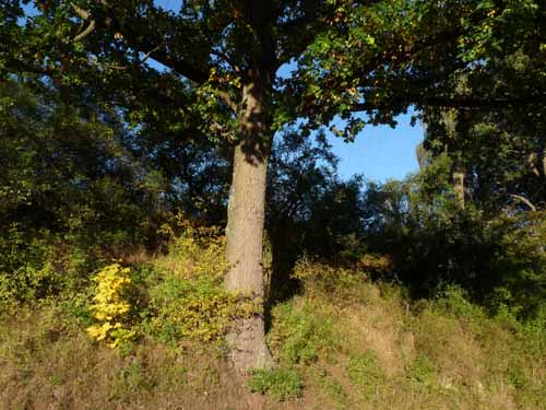 Ludolfshausen-und-Umgebung-227