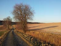 Ludolfshausen-und-Umgebung-001