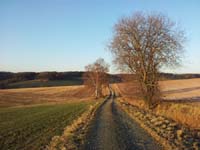 Ludolfshausen-und-Umgebung-002