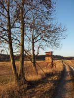 Ludolfshausen-und-Umgebung-006