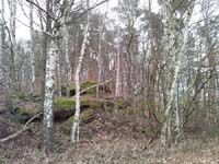 Ludolfshausen-und-Umgebung-010