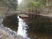 Ludolfshausen-und-Umgebung-015