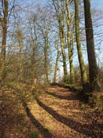 Ludolfshausen-und-Umgebung-017