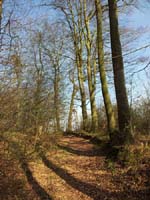 Ludolfshausen-und-Umgebung-018