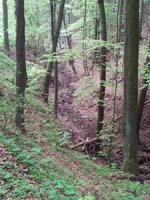 Ludolfshausen-und-Umgebung-022