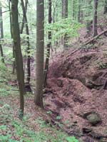 Ludolfshausen-und-Umgebung-023