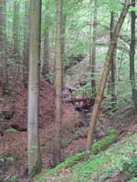 Ludolfshausen-und-Umgebung-024