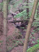 Ludolfshausen-und-Umgebung-025