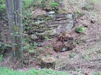 Ludolfshausen-und-Umgebung-028