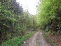 Ludolfshausen-und-Umgebung-031