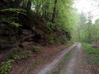 Ludolfshausen-und-Umgebung-032