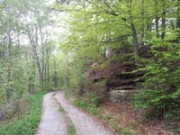 Ludolfshausen-und-Umgebung-033