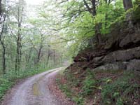 Ludolfshausen-und-Umgebung-034