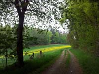 Ludolfshausen-und-Umgebung-039