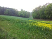 Ludolfshausen-und-Umgebung-040