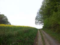 Ludolfshausen-und-Umgebung-041