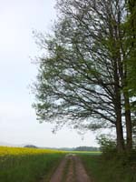 Ludolfshausen-und-Umgebung-042