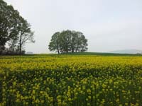 Ludolfshausen-und-Umgebung-043