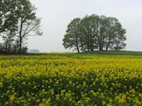 Ludolfshausen-und-Umgebung-044