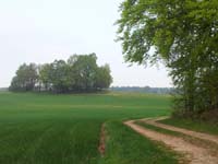 Ludolfshausen-und-Umgebung-045