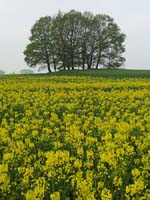 Ludolfshausen-und-Umgebung-046