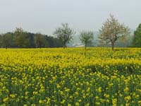 Ludolfshausen-und-Umgebung-047