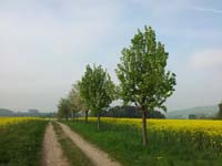 Ludolfshausen-und-Umgebung-048