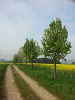 Ludolfshausen-und-Umgebung-049