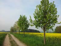 Ludolfshausen-und-Umgebung-050