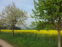 Ludolfshausen-und-Umgebung-051