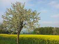 Ludolfshausen-und-Umgebung-052